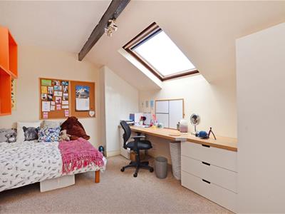 Picture 13